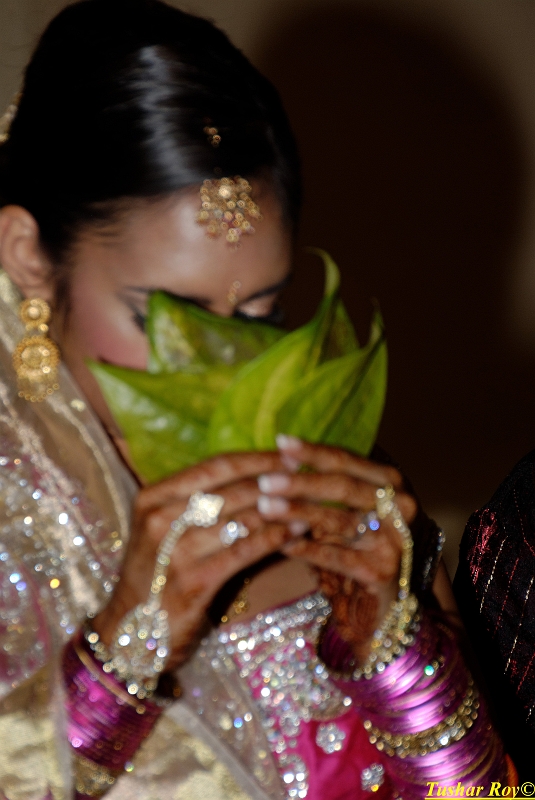 PAYAL_WEDDING-tr Image_1050.jpg